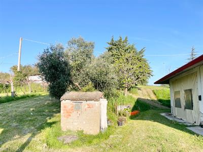 properties