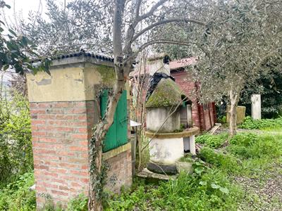 properties